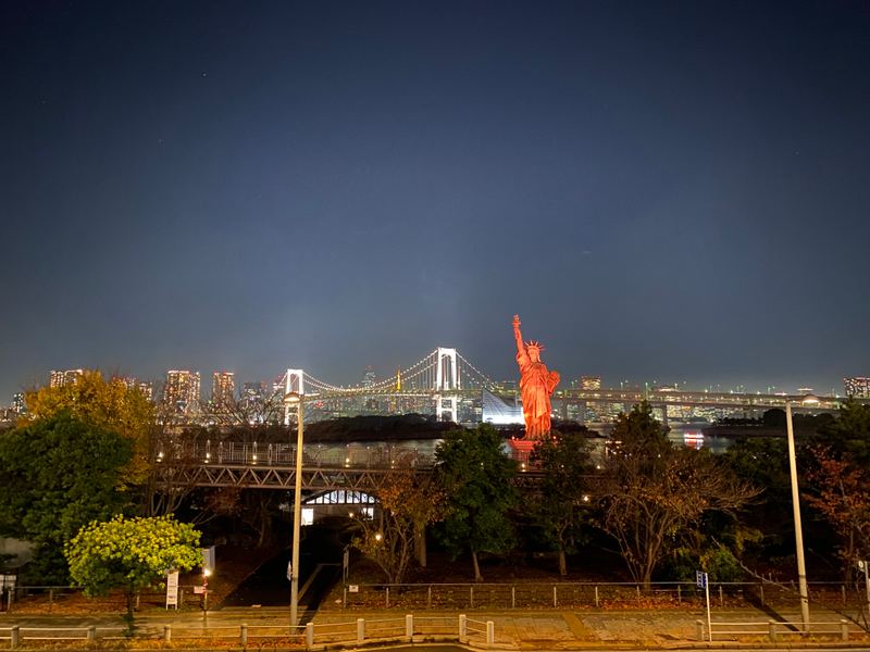 夜のライトアップされた像と街